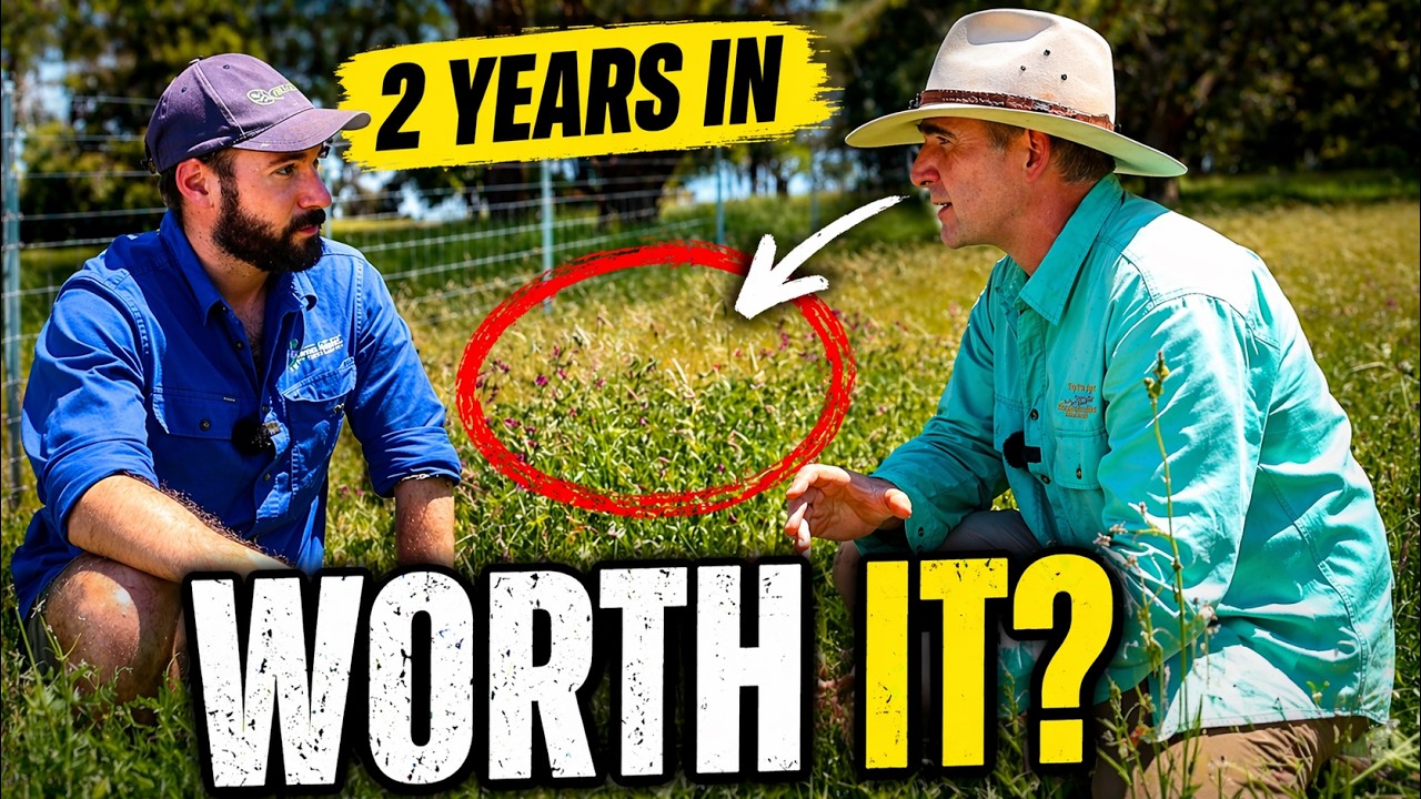 Can A Small Farm Be Regenerative?