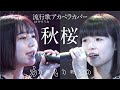 「秋桜」開歌-かいか-(流行歌アカペラカバー)