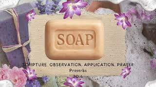 SOAP for Today: Proverbs 20:4