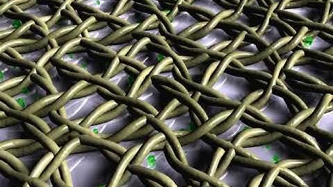 Mechanism of catodic template synthesis of the electrochromic film of nickel hydroxide