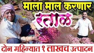 नवरात्री उपवासात रताळ्याने केले लखपती | Sweet potato | रताळे बाजार #ranghar