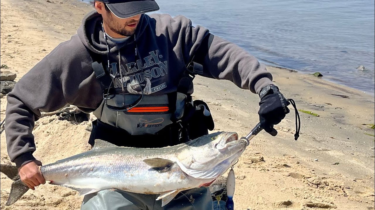 Big top water equals big fish. Gator Blue fish after Blue fish.