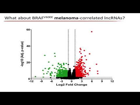 Vídeo: RNAs Não Codificadores Longos Em Doenças Renais