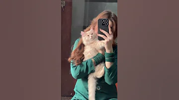 Maste K Rana Mat Sho Da Laila Da Las Bangri Pashto New Song Pashto New Tiktok Song Foryou 