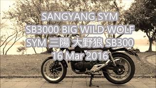 Initial Review: SANGYANG SYM  SB3000 BIG WILD WOLF 三陽 大野狼 SB300