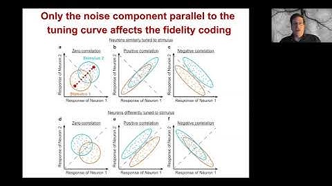 Mark Schnitzer - Fundamental Bounds on the Fidelity of Sensory Cortical Coding (September 23, 2020)