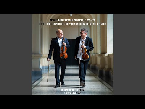 Three Grand Duets for Violin and Viola, Op. 69, No. 2: I. Allegro