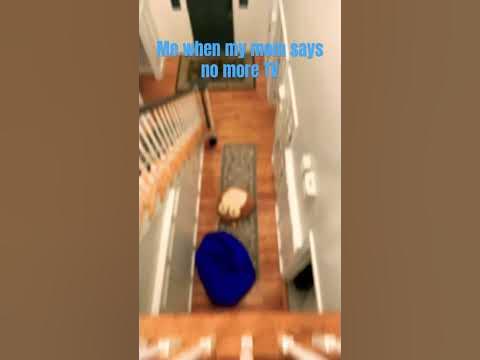Me when my mom says no more TV #funny #tv #shorts - YouTube