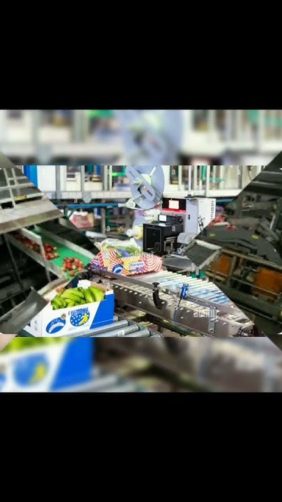 urgent-hiring-fruit-packing-job-in-singapore-age-limit-20-years-to-40