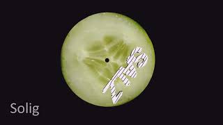 Solig - Basisch