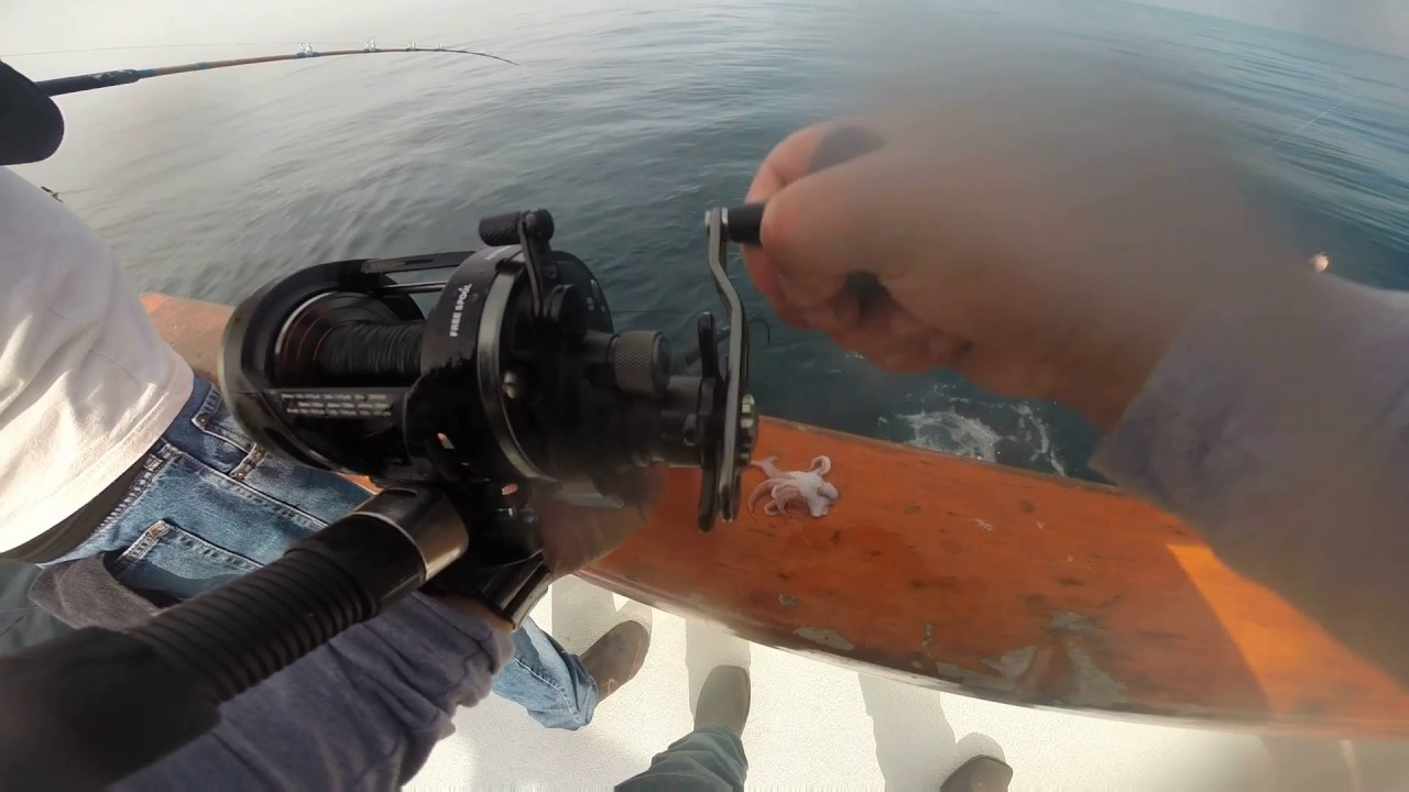 ROCKFISHING WITH H&M Landing extended half day YouTube