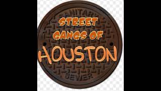 The biggest gangs in Houston