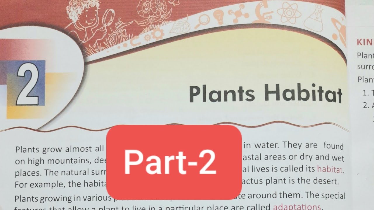 Class4 Science chapter2 Plant Habitat part2 YouTube