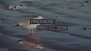 VHS Opener Premiere Pro Templates