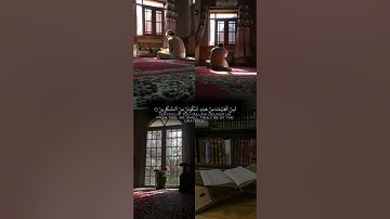هُوَ الَّذِي يُسَيِّرُكُمْ فِي البَرِّ وَالبَحْر..للقارئ عبدالرحمن مسعد