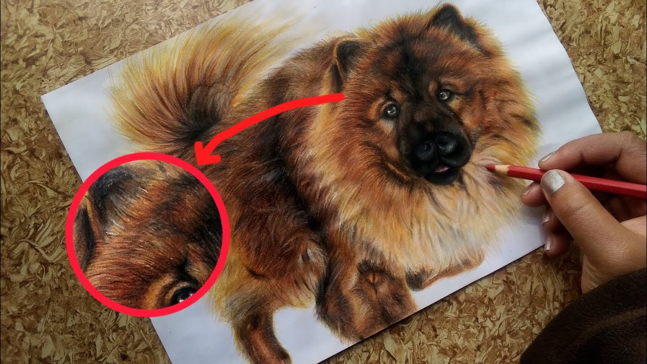 Tutorial on How to draw realistic fur 🐶 | FUN N SKILL - YouTube