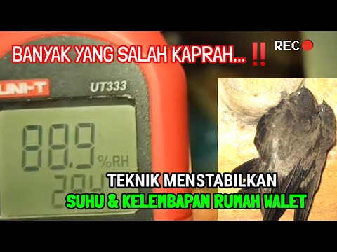 Video: Cara meningkatkan kelembapan ruangan: cara melembabkan udara, tips dan trik