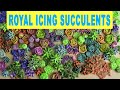 HOW TO MAKE ROYAL ICING SUCCULENTS