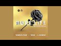 Torren Foot - More Life (feat. Tinie Tempah & L Devine) [Official Audio] |G46 GRIME