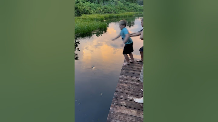 Boy pushed into Gator 🐊 #alligator #trending