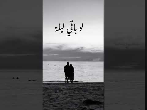 ليلة لوباقي ليلة
