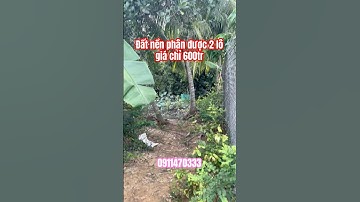 Đất nền giá rẻ gần vòng xoay cao tốc Thân Cửu Nghĩa, Châu Thành, Tiền Giang #tongtuanh