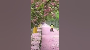 💗سورة الإنسان بصوت ملائكي ماشاء الله💗
