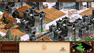 Age of Empires 2 HD custom campaign: Catastrophe cavern-Chapter III(part 3)