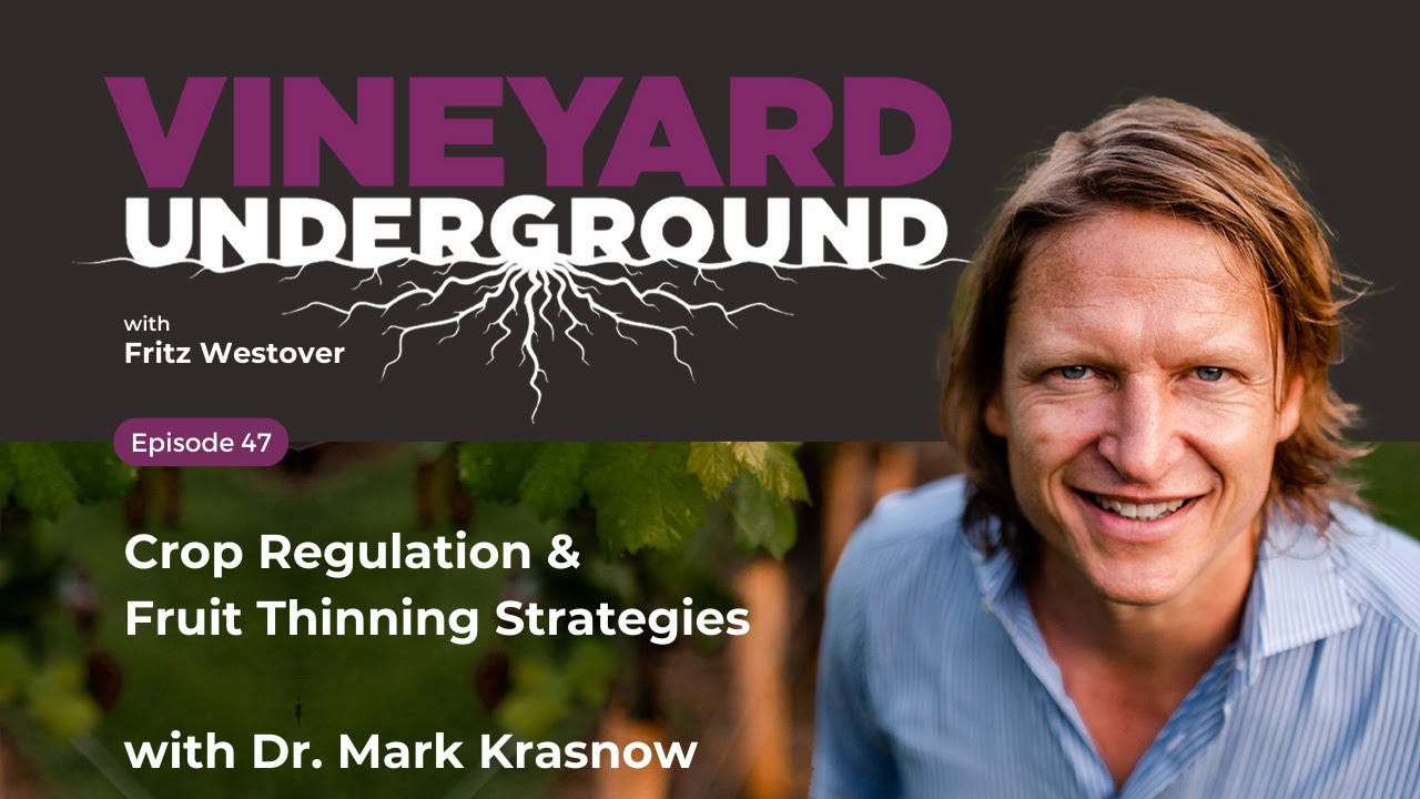 Vineyard Underground Ep47: Crop Regulation & Fruit Thinning Strategies w/ Dr. Mark Krasnow 