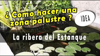 Como hacer una zona palustre en el estanque + Refugio para los peces