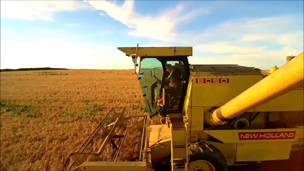New Holland 8050 at Barley, Cork, Ireland