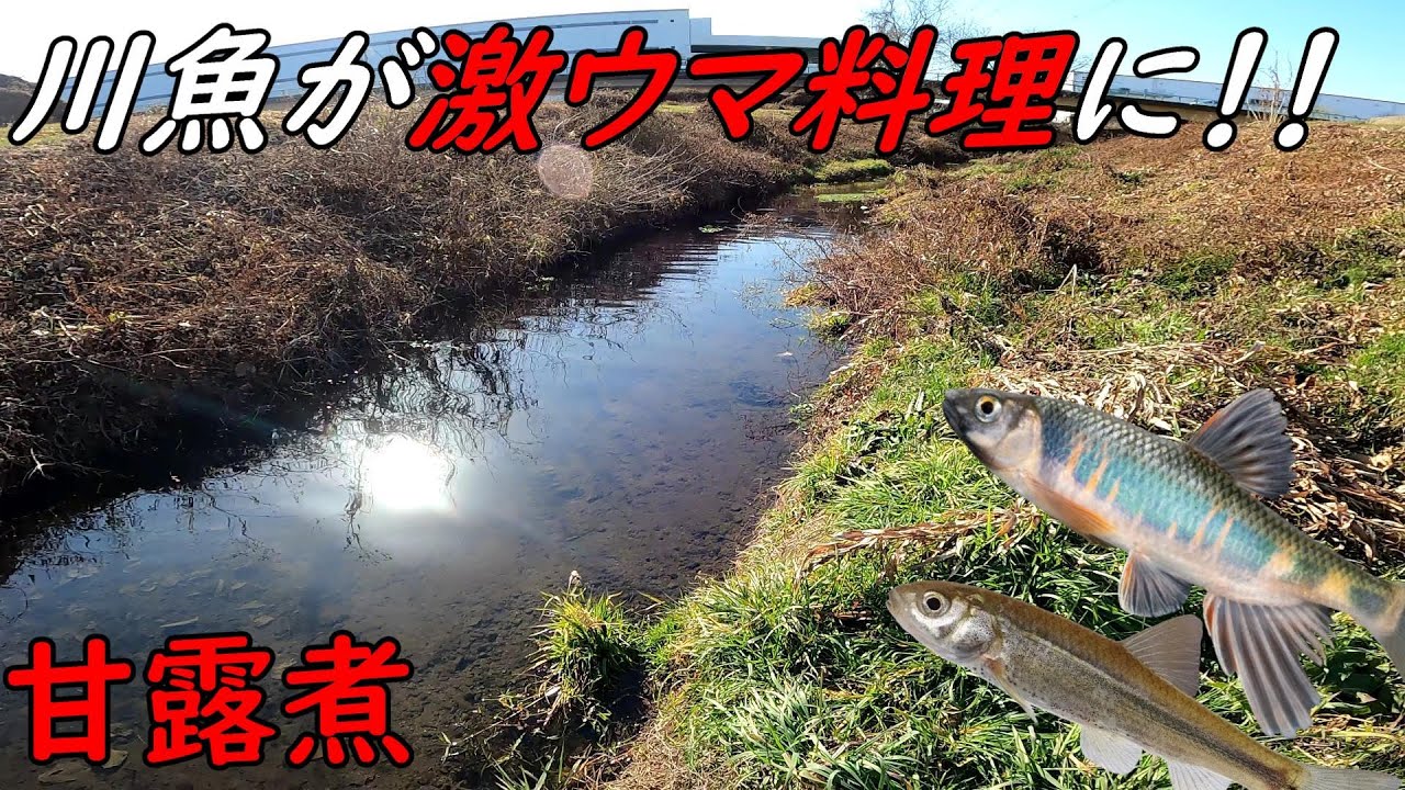 近所の川魚をごはんのおかずにしてみた