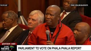 Phala Phala Debate | MPs vote on the Section 89 panel report