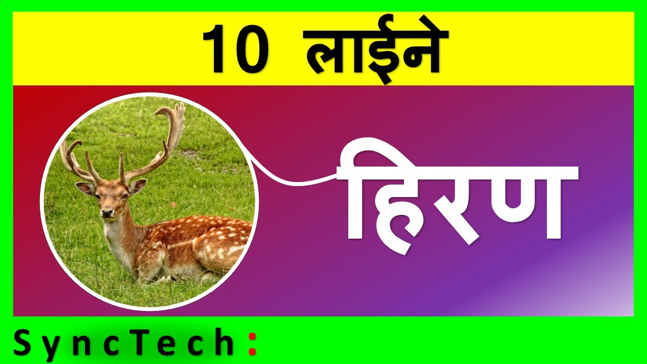 hindi essay on deer animal