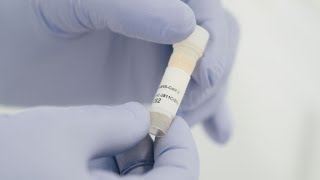 COVID-19 Pandemic Response