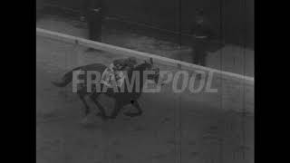 Horse Racing, Jockey, 1951