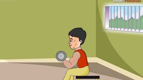 NCERT CBSE Class 9 Science Chapter 6 Tissues Part 1