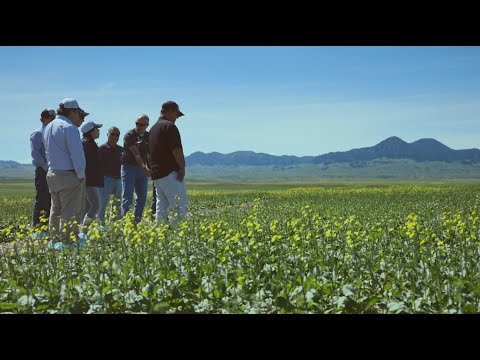 Delivering sustainable, grain-based