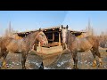 Ала-Бука району Ызар айылында  Талант акенин  тайы сатууга чыкты достор🐎