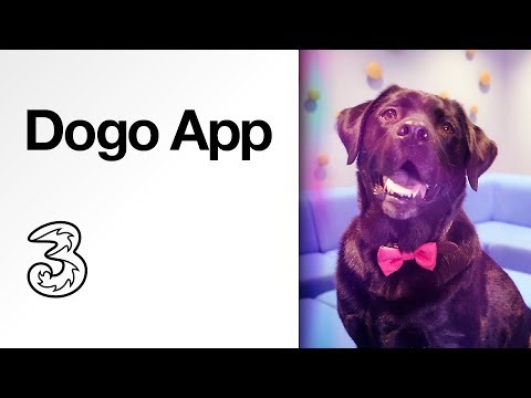 dogo-app-|-dog-training-made-easy-|-discovery,-with-three