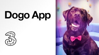 Dogo App | Dog Training made easy | Discovery, with Three screenshot 4