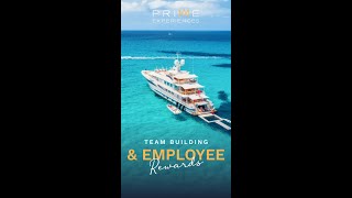 Team Building & Employee Rewards