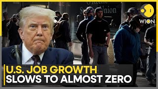 Is Trump's Immigration Policy Behind Falling Employment Rates In The U.S? | Job growth Slowed | WION