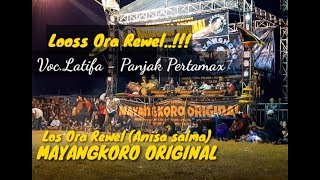 Los ora rewel (Anisa salma) Cover - Latifa Mayangkoro Original