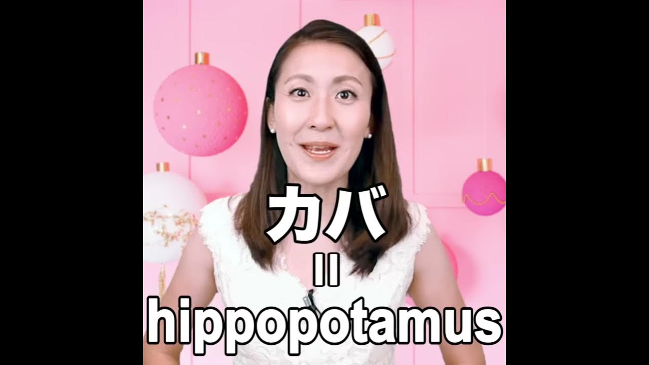 カバ 英語では 動画で観る 聴く 英語辞書動画 Youtube