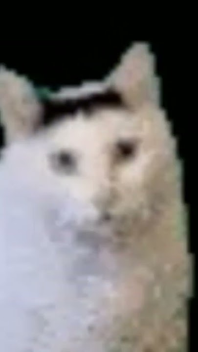 January 20 2024 YouTube January 20 2024 YouTube