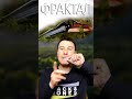 Обзор варгана «Фрактал»