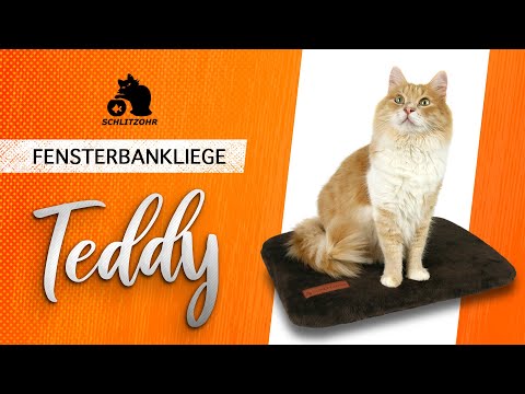 🔥SCHLITZOHR Fensterbankliege Teddy,