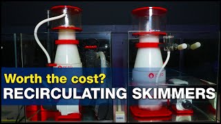 Is Two Better Than One? Is A Recirculating Protein Skimmer Extra Cost Worth It? Brstv Investigates