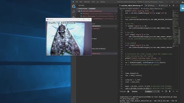 Identifying Butterflies, Bees and Moths in real-time with Intel Movidius Neural Compute Stick 1